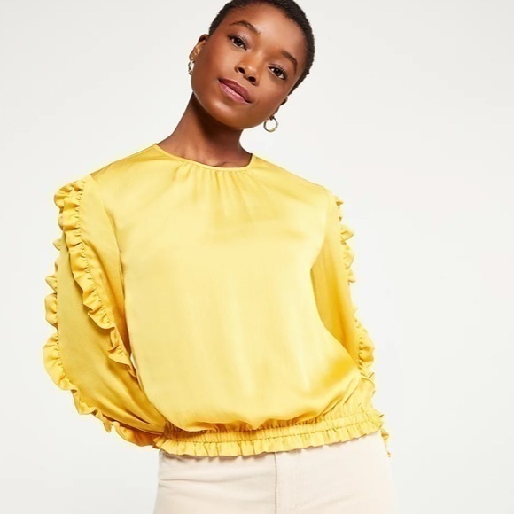 Ann Taylor Tops - Ann Taylor Ruffle Sleeve Cinched Hem Top